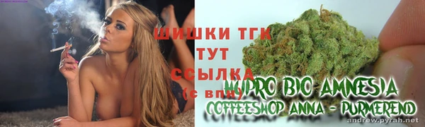 сатива Абдулино